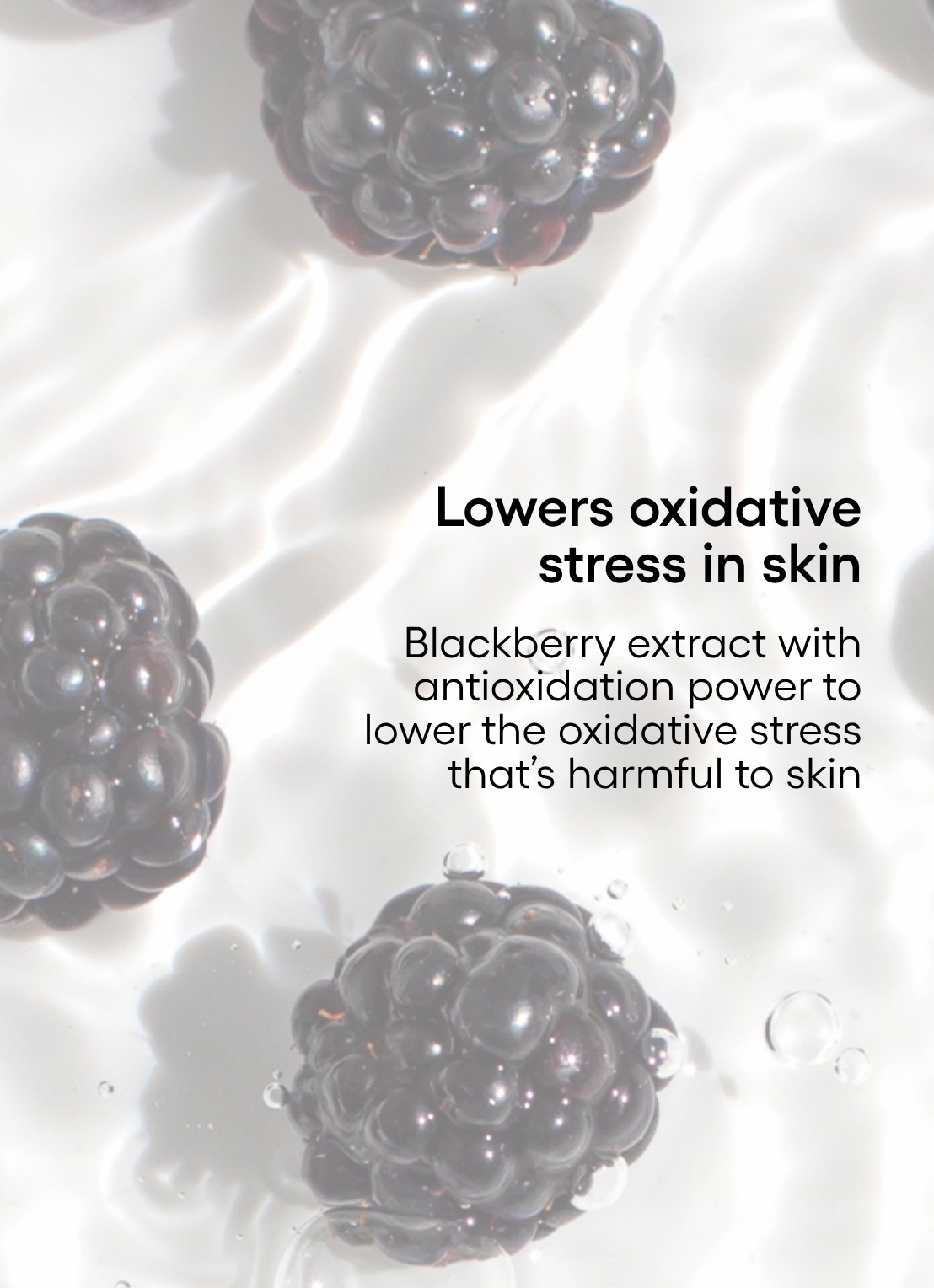 Laneige Water Bank UV Sunscreen SPF50+  - zonnebrand voor het gezicht - detail 6 undefined