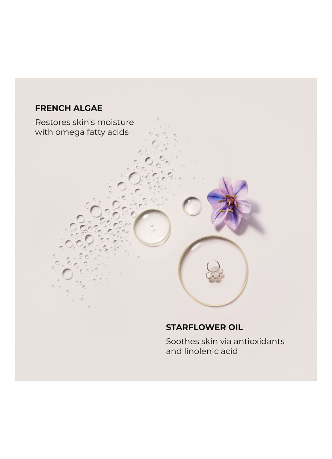 Laura Mercier Almond Coconut Serum Body Cream - bodycrème - detail 4 undefined