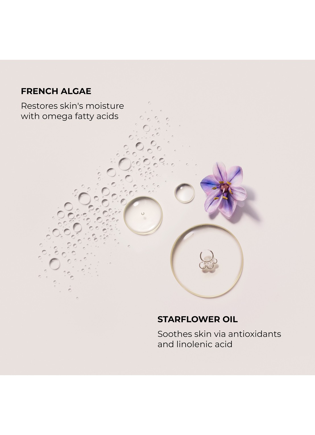 Laura Mercier Soft Touch Duo Soufflé Hand Creams - handcrème set - detail 4 undefined