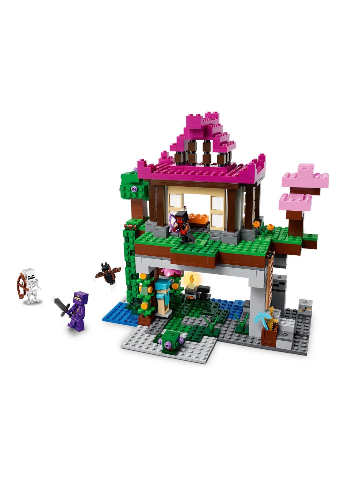 LEGO De Trainingsplaats bouwset - 21183 - voorkant 7 multicolor