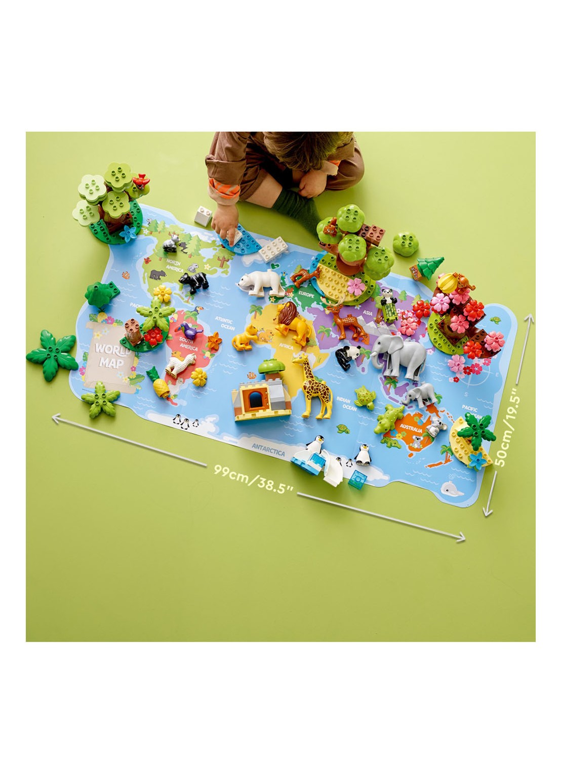 LEGO Wilde dieren van de wereld - 10975 - detail 5 multicolor