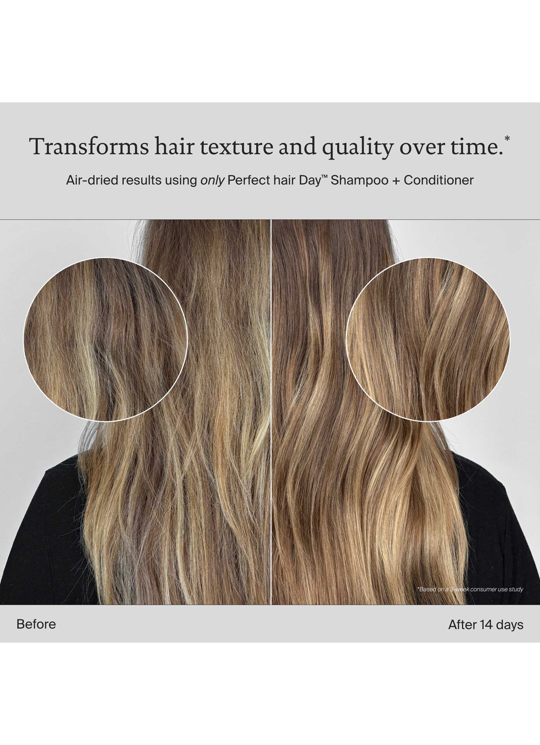 Living Proof Perfect hair Day (PhD) Shampoo - detail 2 undefined