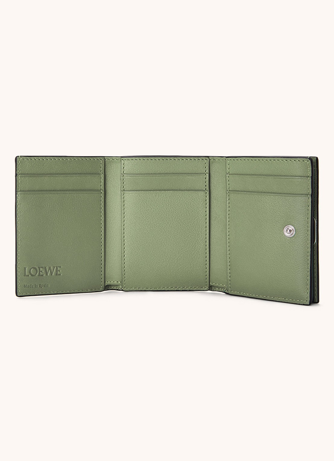 LOEWE Anagram portemonnee van kalfsleer - voorkant 5 lindegroen