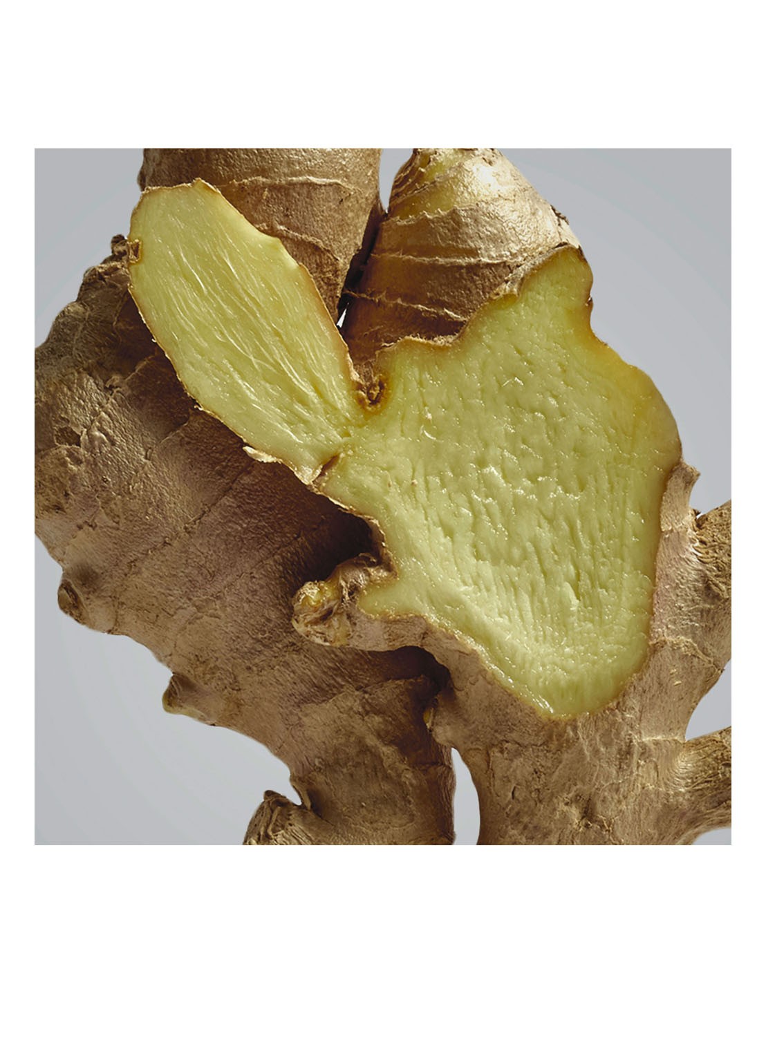 LOEWE Ginger Outdoor Candle - geurkaars 750 gram - detail undefined