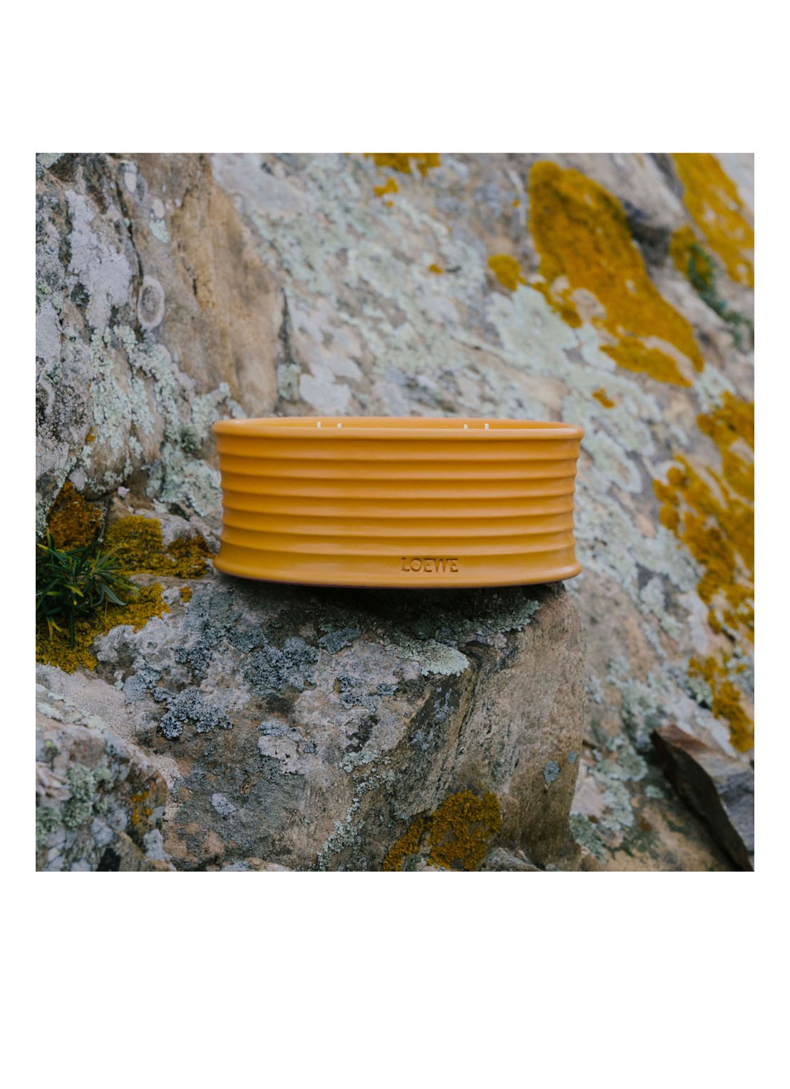 LOEWE Ginger Outdoor Candle - geurkaars 750 gram - detail 2 undefined