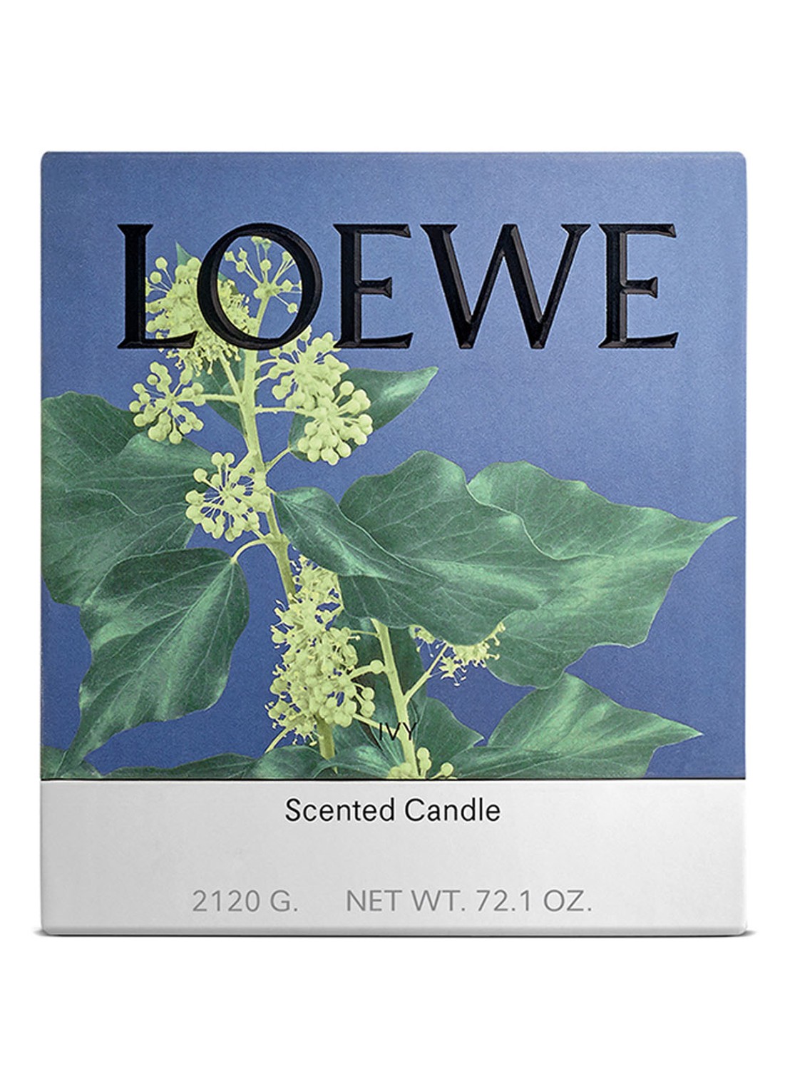 LOEWE Large Ivy Candle - geurkaars 2120 gram - voorkant 2 undefined
