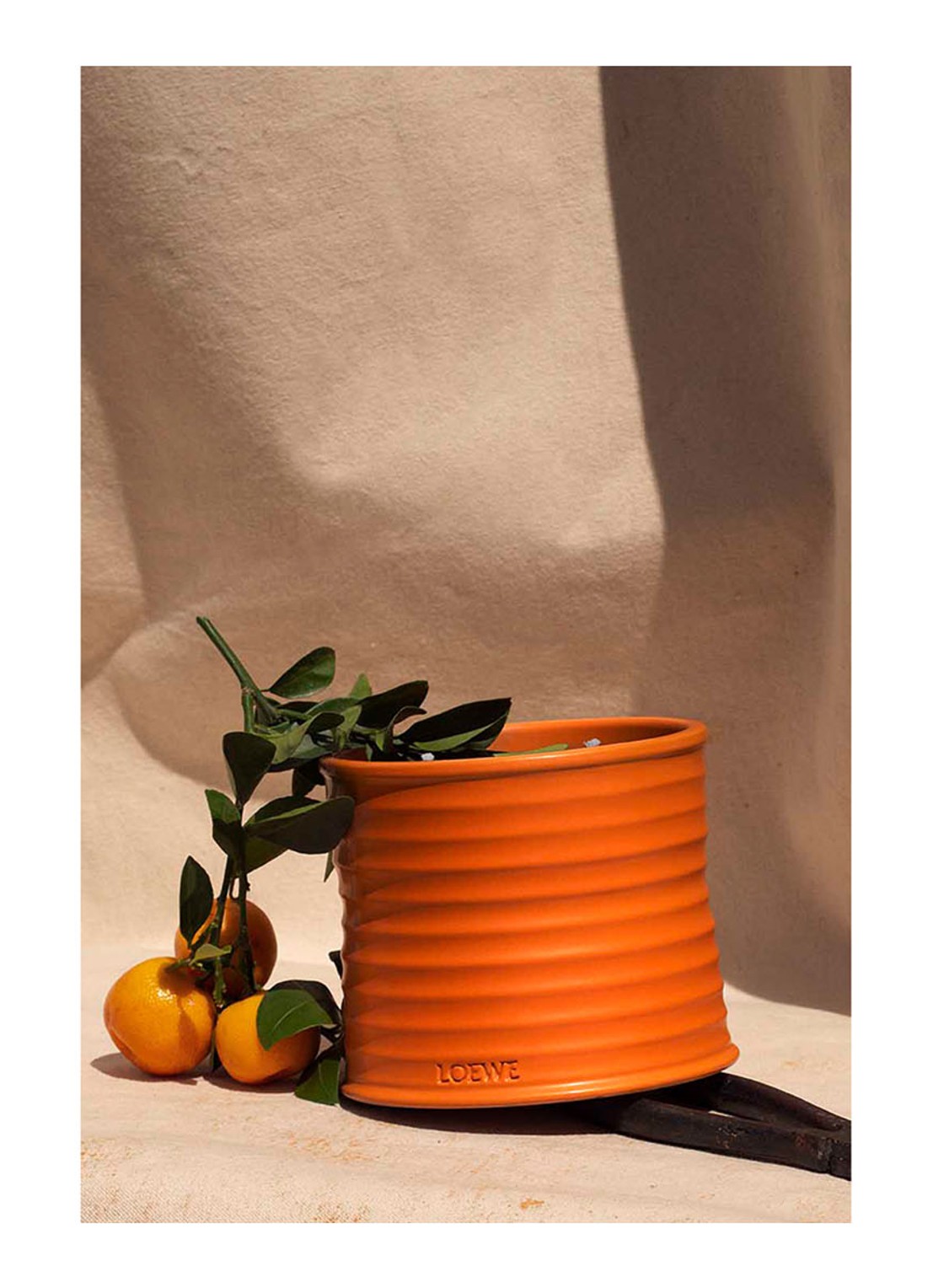 LOEWE Large Orange Blossom Candle - geurkaars 2120 gram - detail 4 undefined