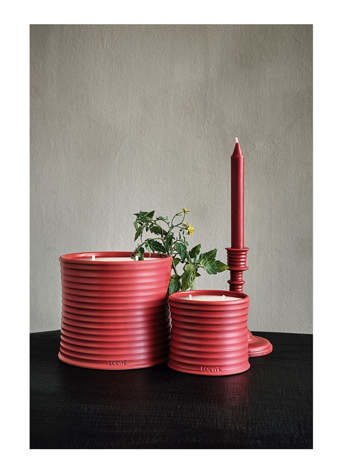 LOEWE Large Tomato Leaves Candle - geurkaars 2120 gram - detail 5 undefined