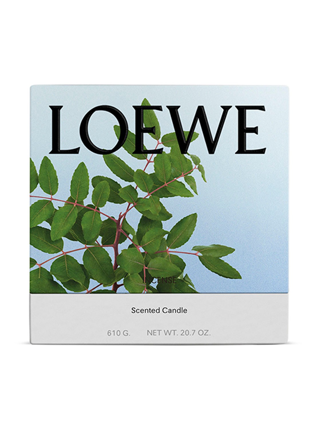 LOEWE Medium Incense Candle - geurkaars 610 gram - voorkant 2 undefined