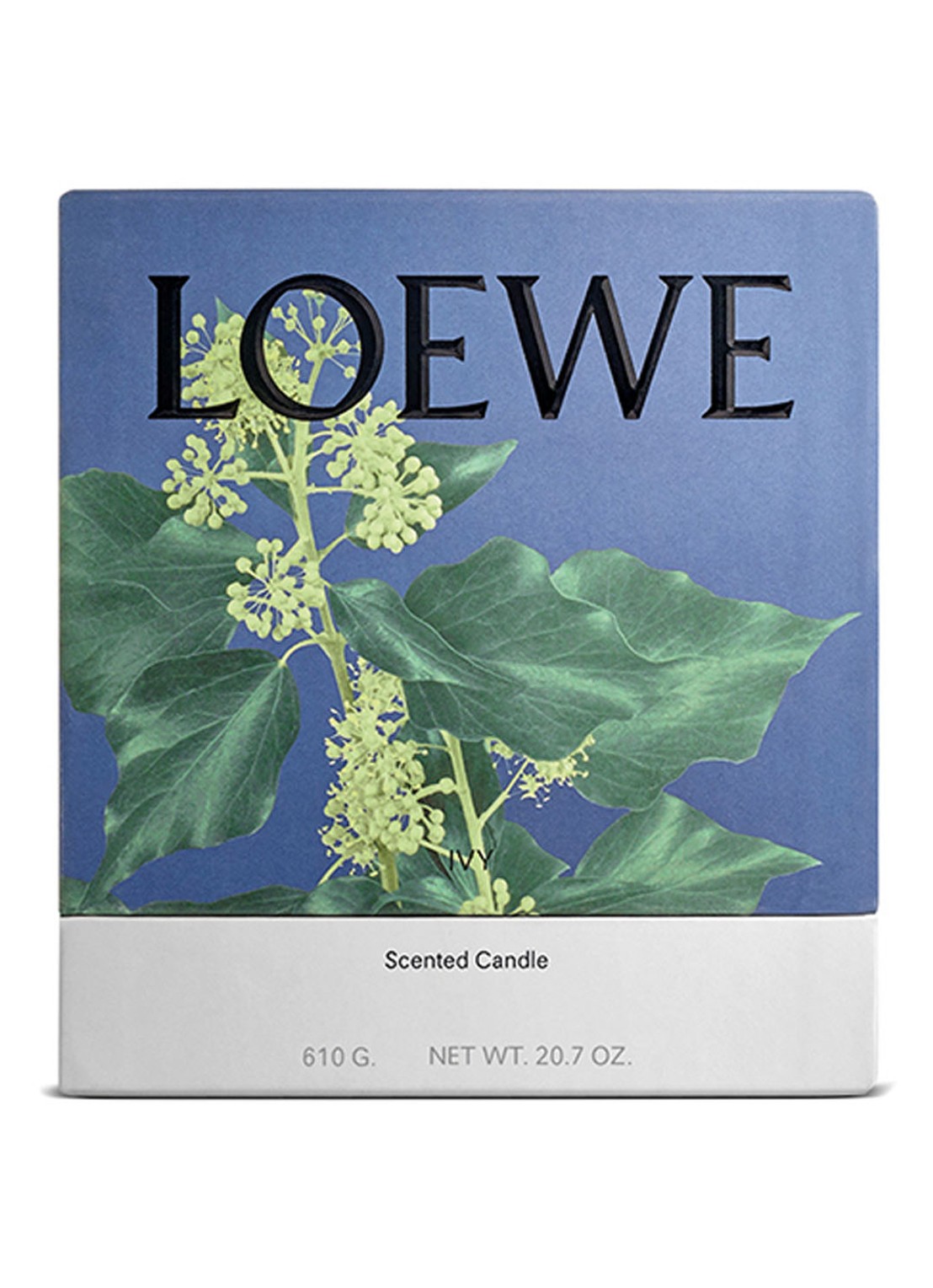 LOEWE Medium Ivy Candle - geurkaars 610 gram - voorkant 7 undefined
