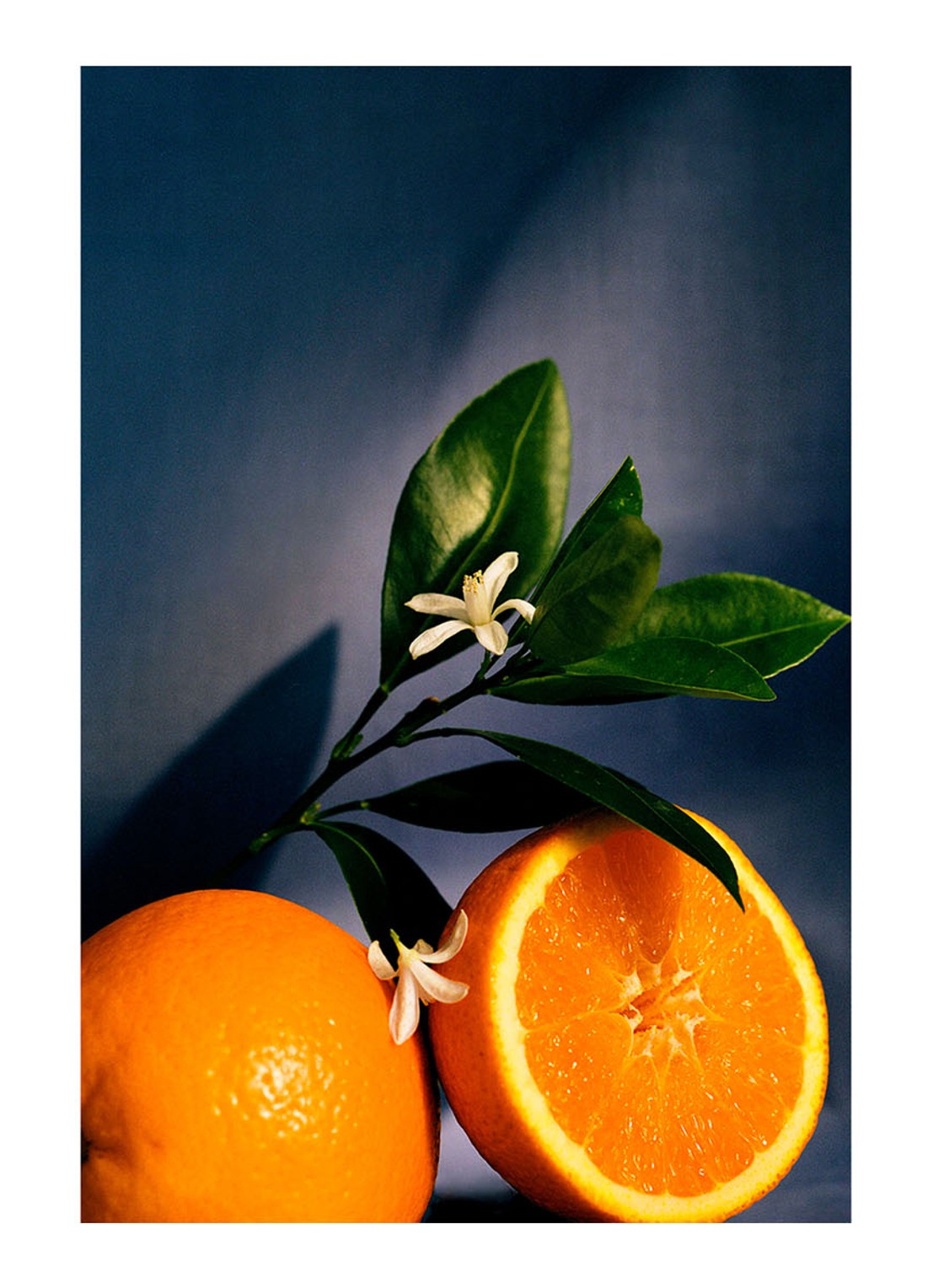 LOEWE Orange Blossom Room Spray - huisparfum 150 ml - detail 3 undefined