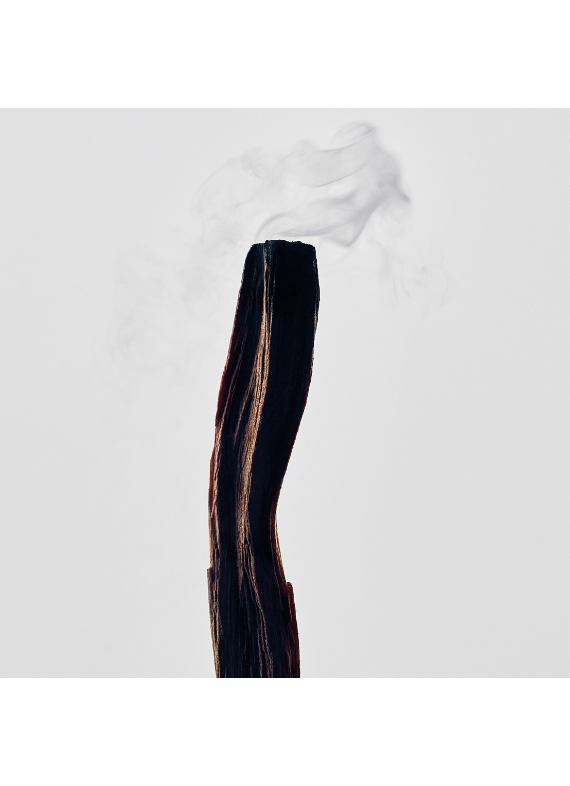LOEWE Scent of Palo Santo Candle - geurkaars 610 gram - detail 3 undefined