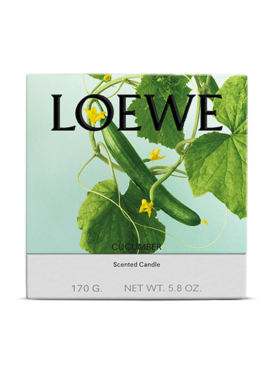 LOEWE Small Cucumber Candle - geurkaars 170 gram - voorkant 2 undefined