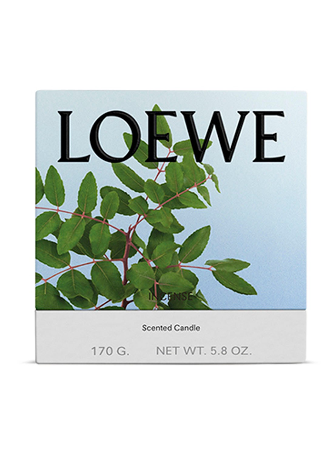 LOEWE Small Incense Candle - geurkaars 170 gram - voorkant 2 undefined
