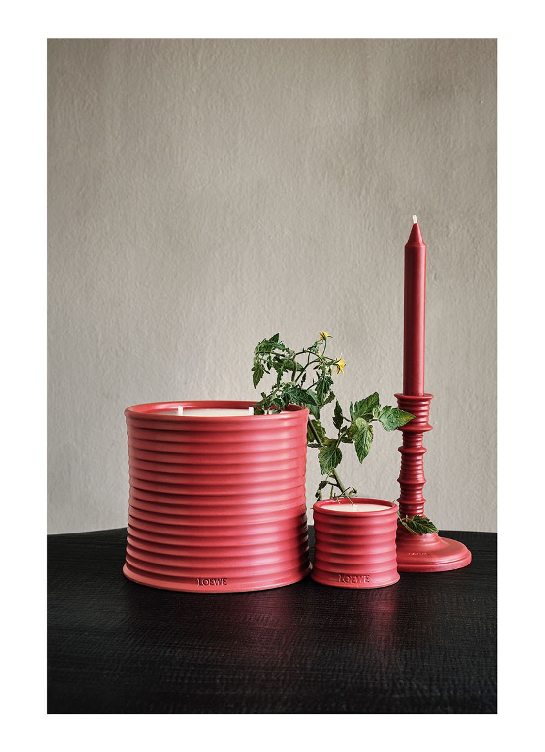 LOEWE Small Tomato Leaves Candle - geurkaars 170 gram - detail 5 undefined