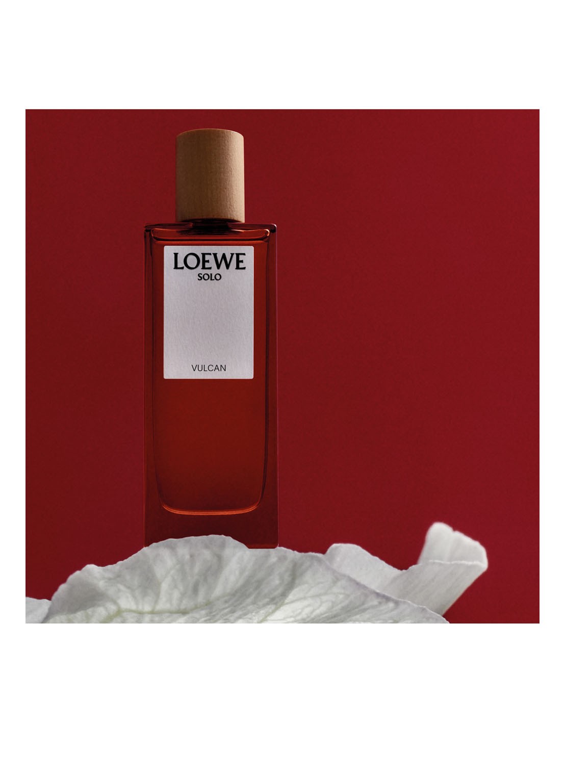 LOEWE Solo Vulcan Eau de Parfum - detail 8 undefined