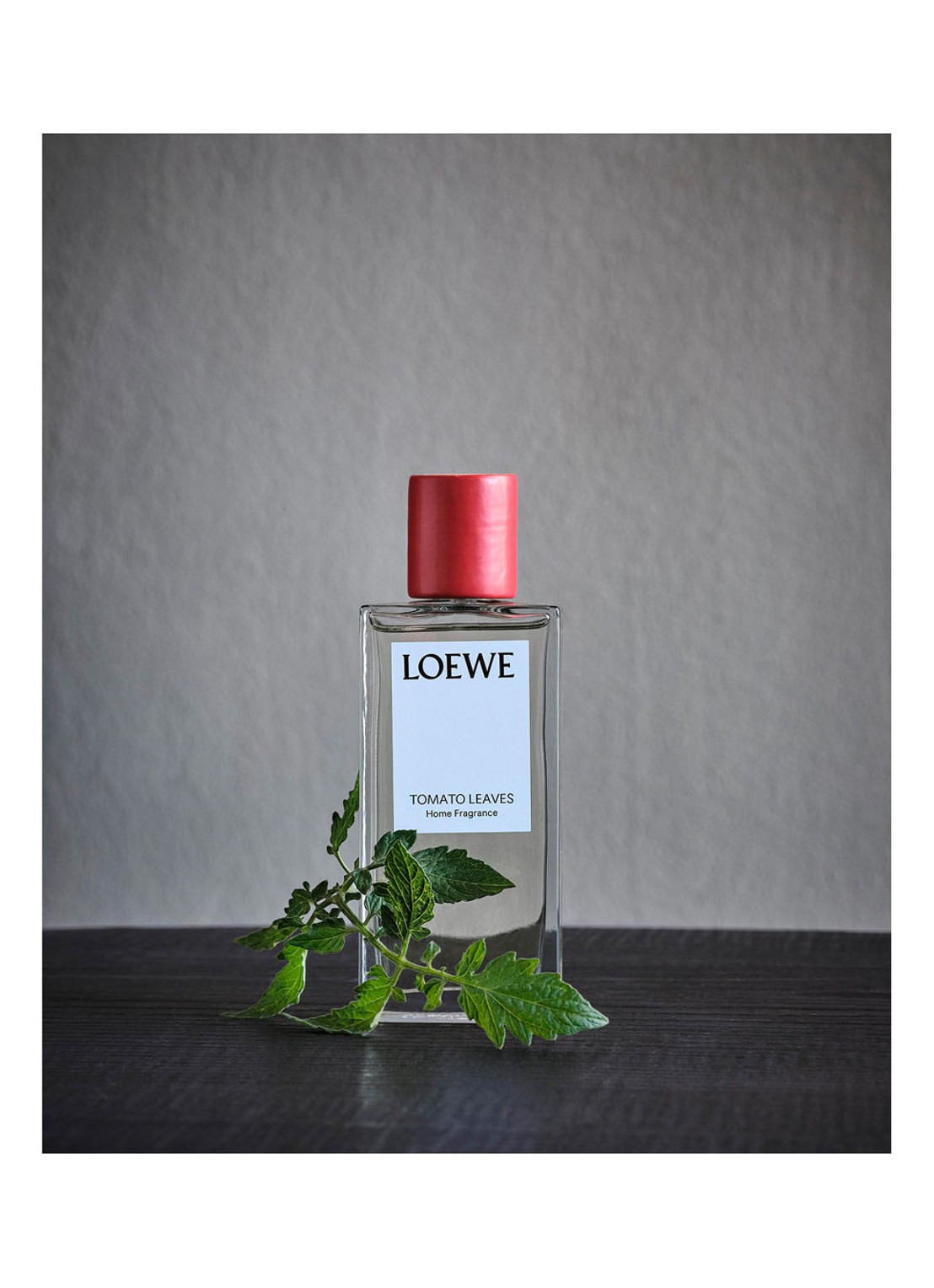 LOEWE Tomato Leaves Room Spray - huisparfum 150 ml - detail 6 undefined