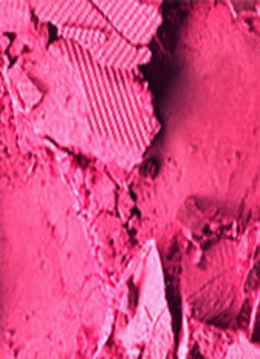 M·A·C Powder Blush - detail 3 full fuchsia