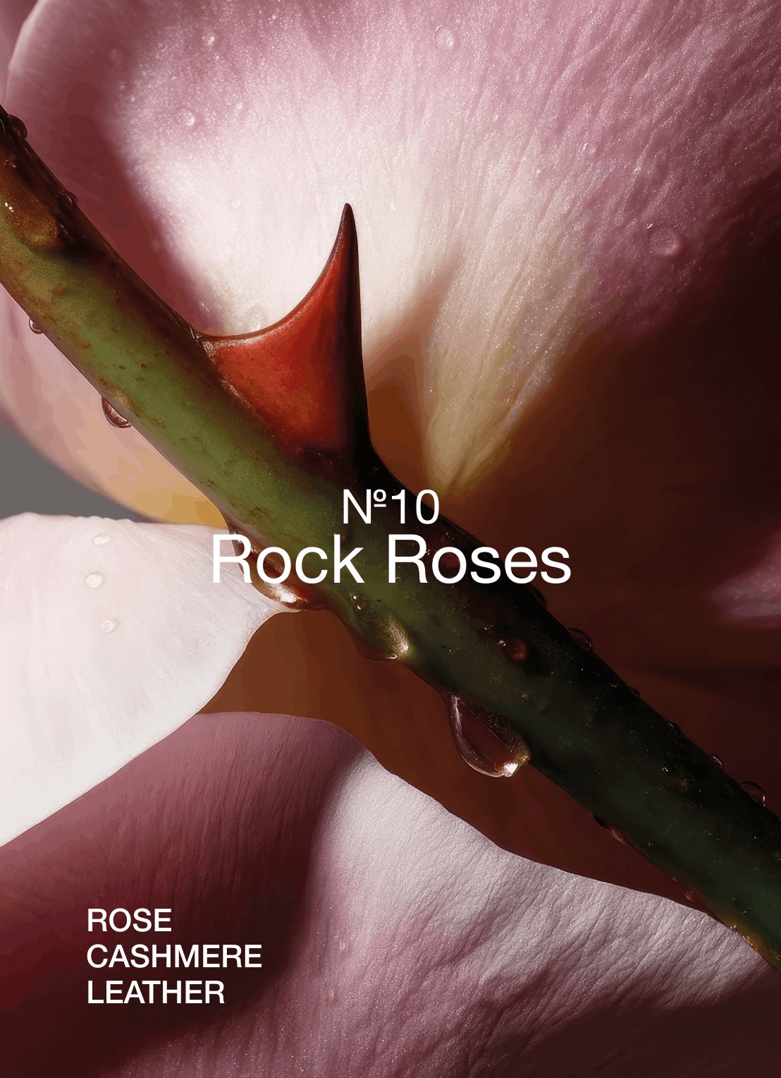 Marie-Stella-Maris No.10 Rock Roses bodyscrub 75 ml - achterkant wit