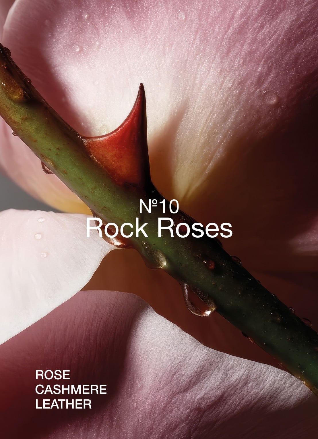 Marie-Stella-Maris No.10 Rock Roses huisparfum 500 ml - achterkant 2 wit