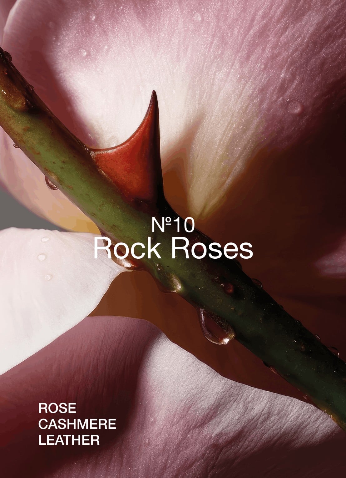 Marie-Stella-Maris No.10 Rock Roses Silky Soft Shower Mousse - schuimende douchegel - achterkant 2 transparant