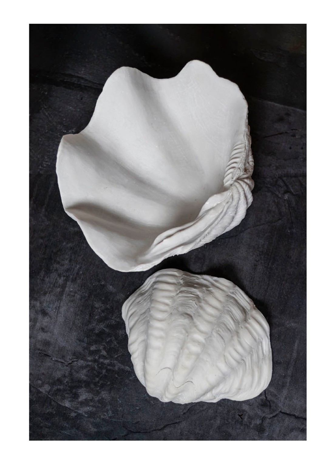 Mette Ditmer Shell ornament 13 cm - detail 3 wit