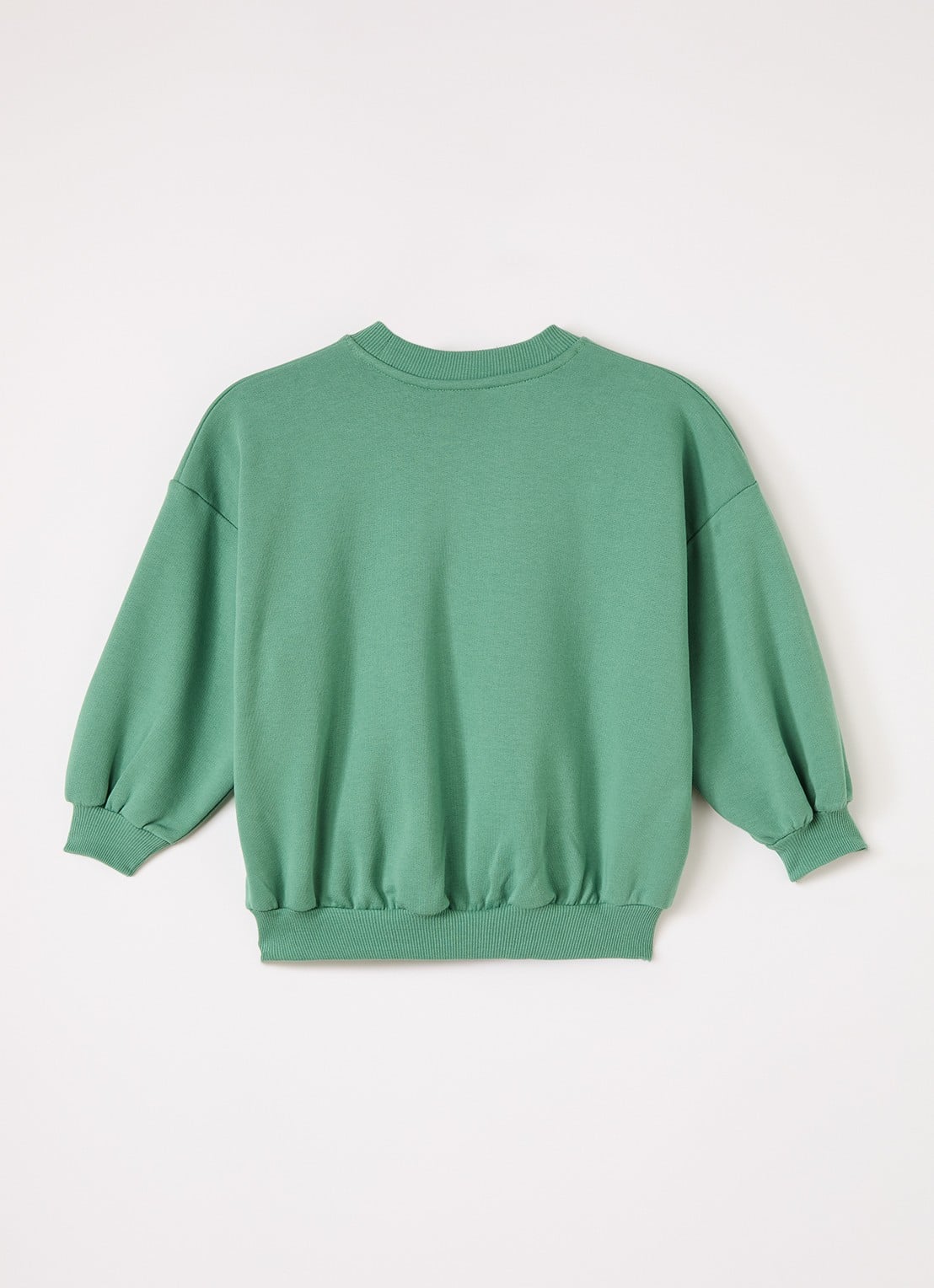 Mini Rodini Elephant Shrew sweater met borduring - voorkant 2 groen