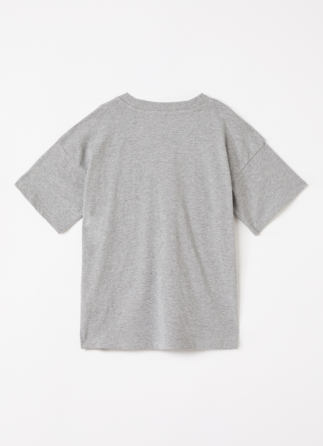 Mini Rodini T-shirt met borduring - voorkant 2 grijsmele