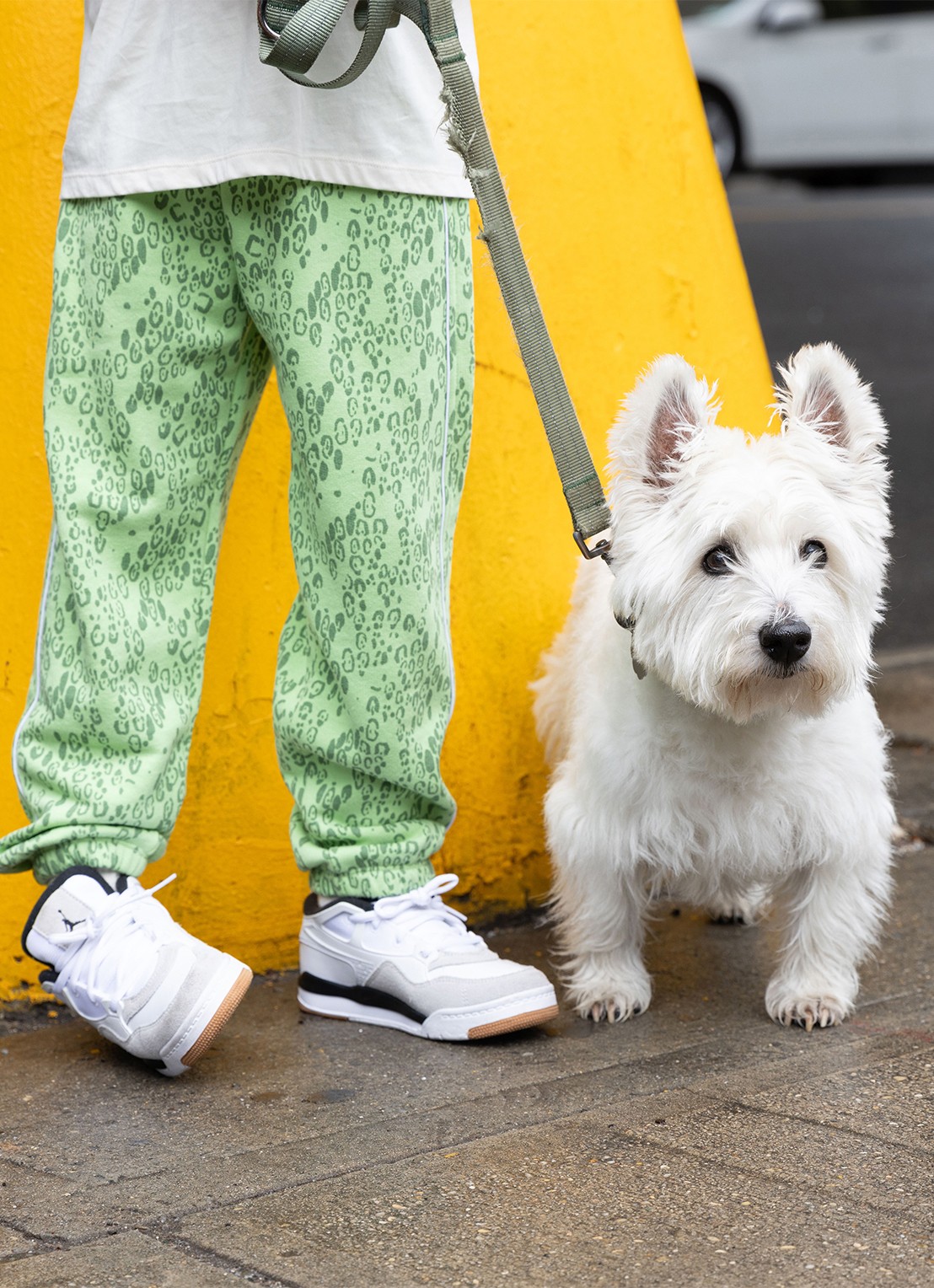 Mini Rodini Tapered fit joggingbroek met panterprint - voorkant 2 groen