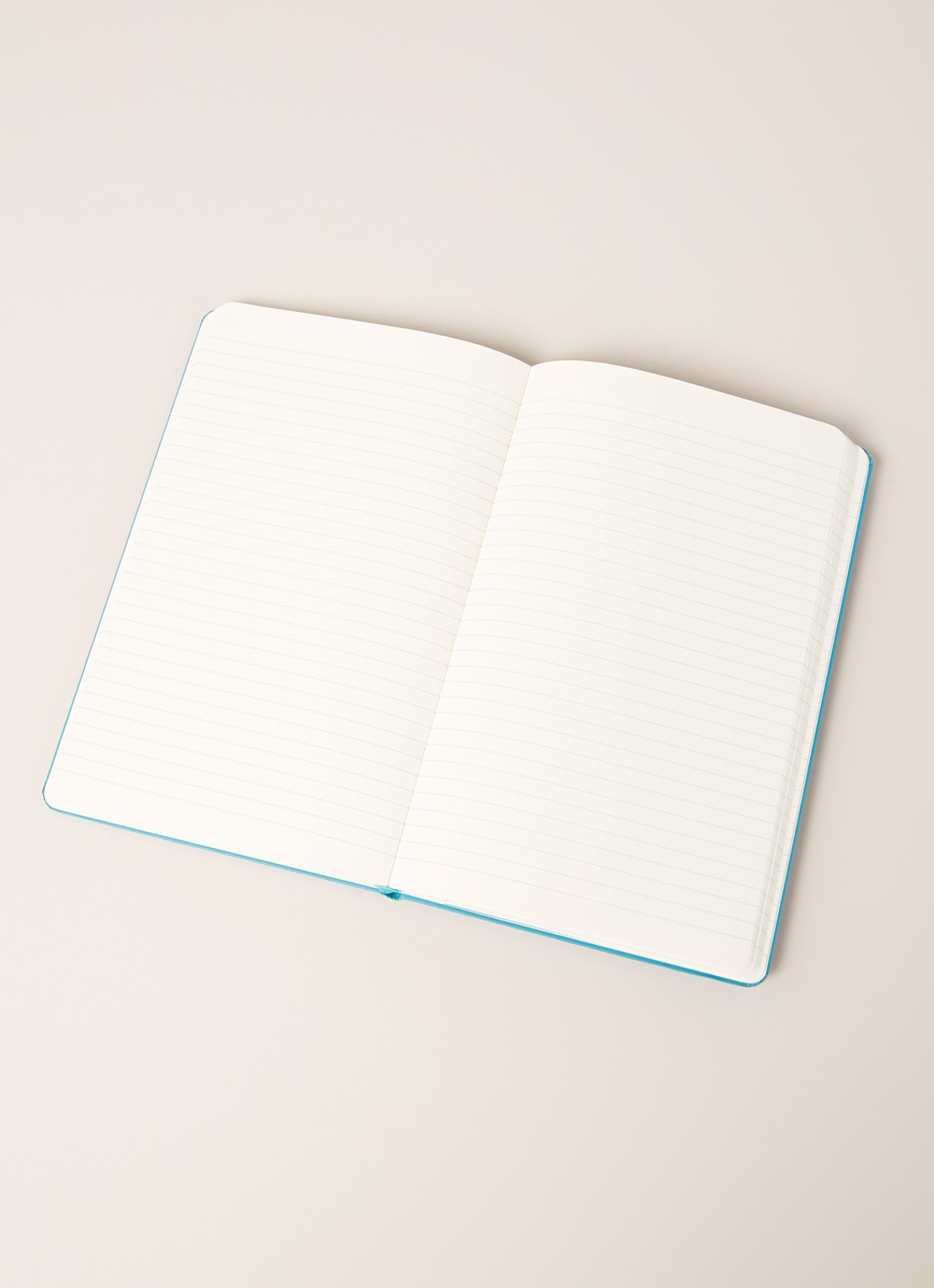 Moleskine Classic L gelinieerd notitieboek - detail turquoise
