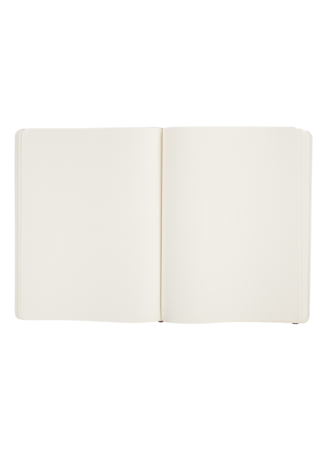Moleskine Classic XL gestippeld notitieboek - detail zwart