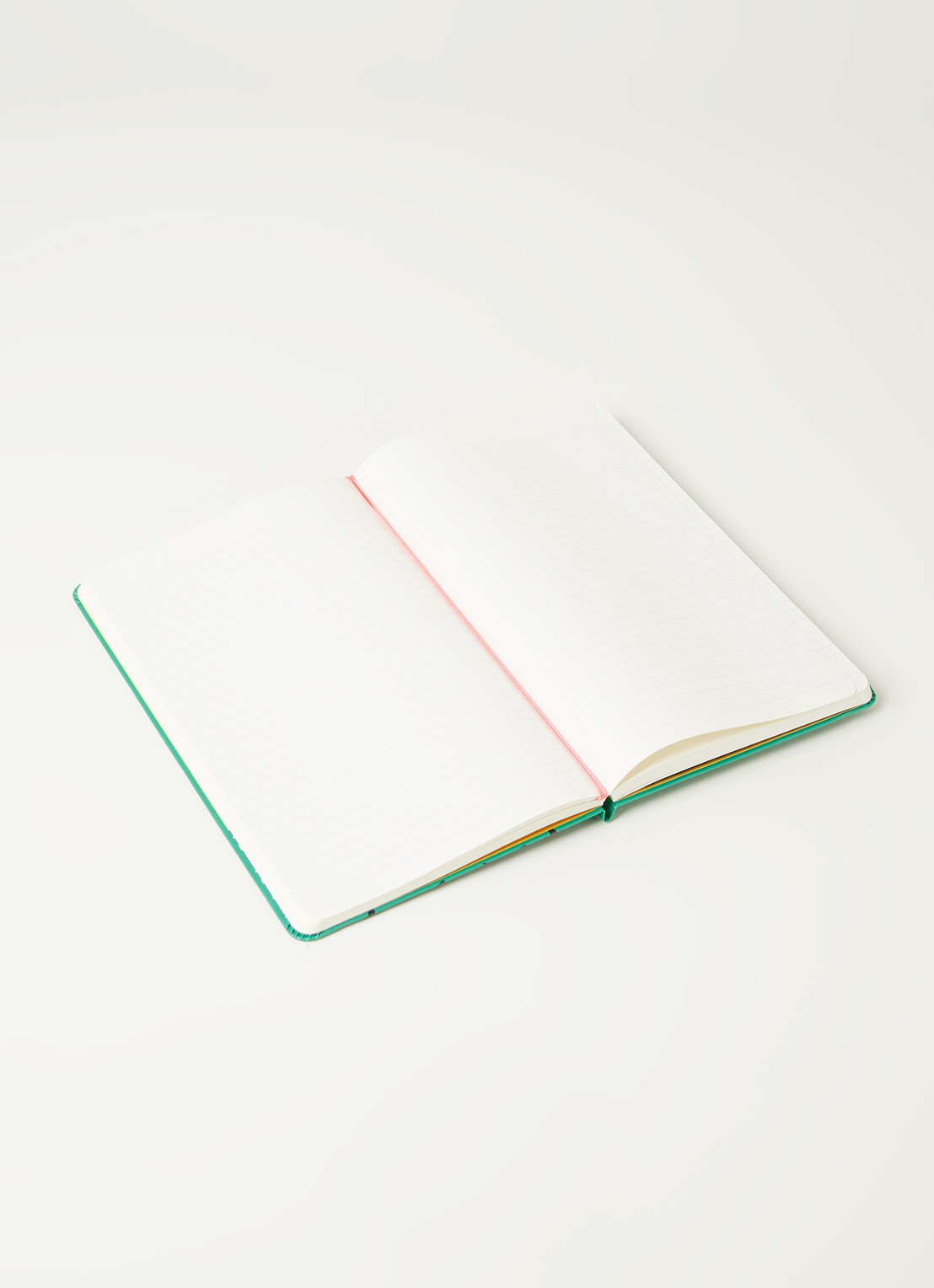 Moleskine Limited Edition Frida Kahlo L gelinieerd notitieboek - detail groen