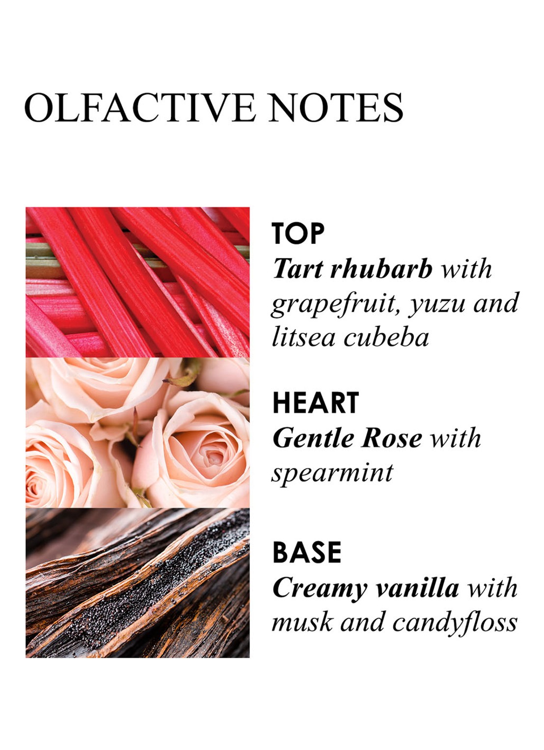 Molton Brown Delicious Rhubarb & Rose Aroma Reeds - geurstokjes 150 ml - detail 5 undefined