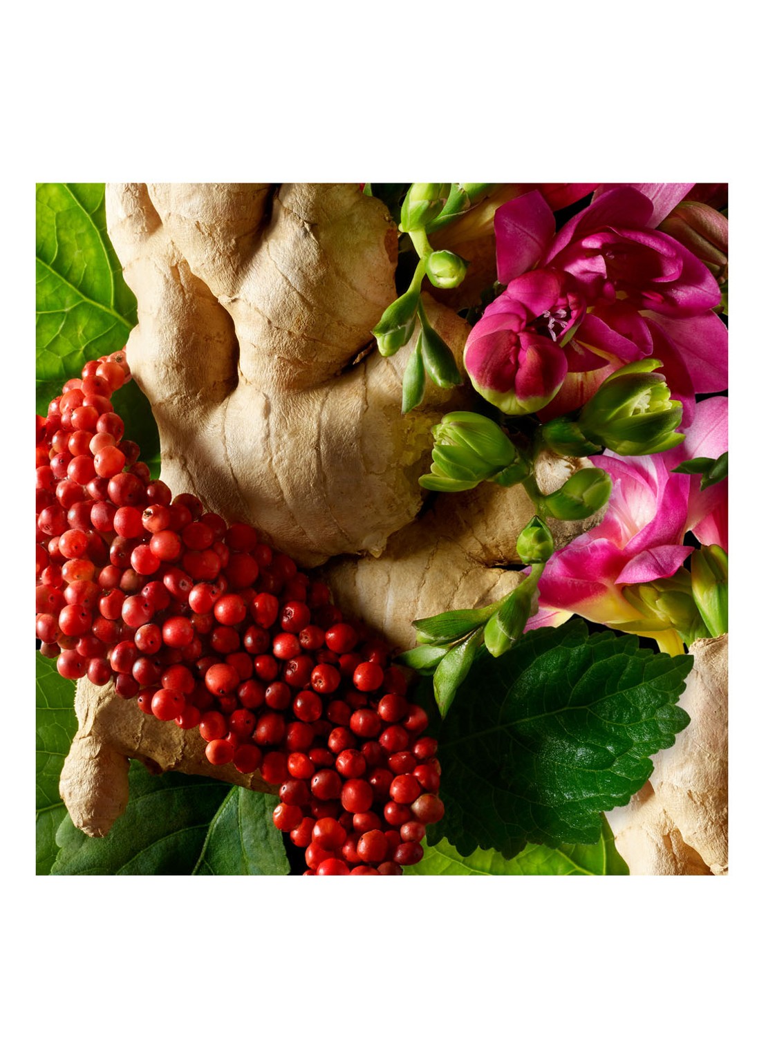 Molton Brown Fiery Pink Pepper Bodylotion - detail 4 undefined