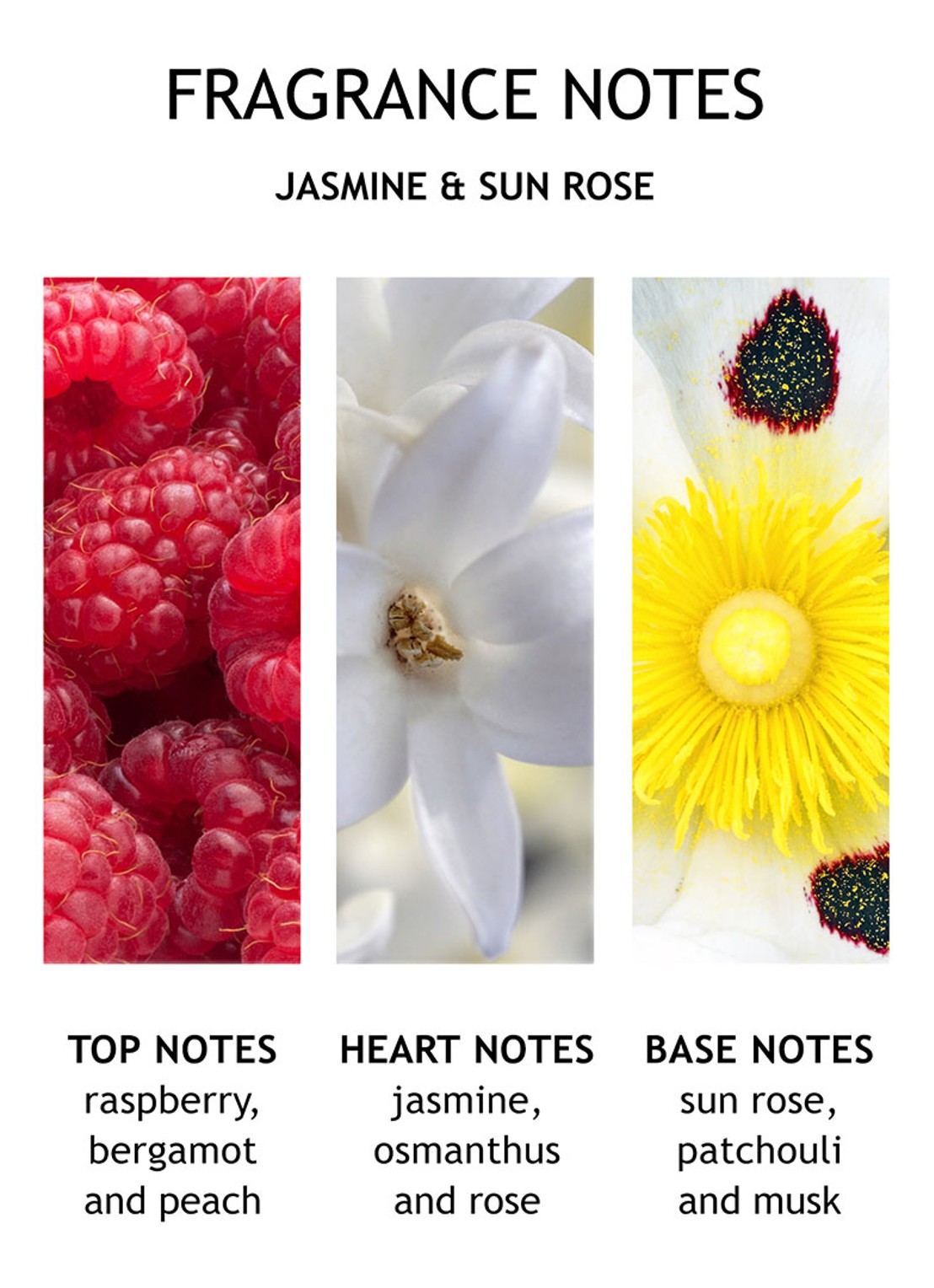 Molton Brown Jasmine & Sun Rose Bathing Oil - badolie - detail 6 undefined