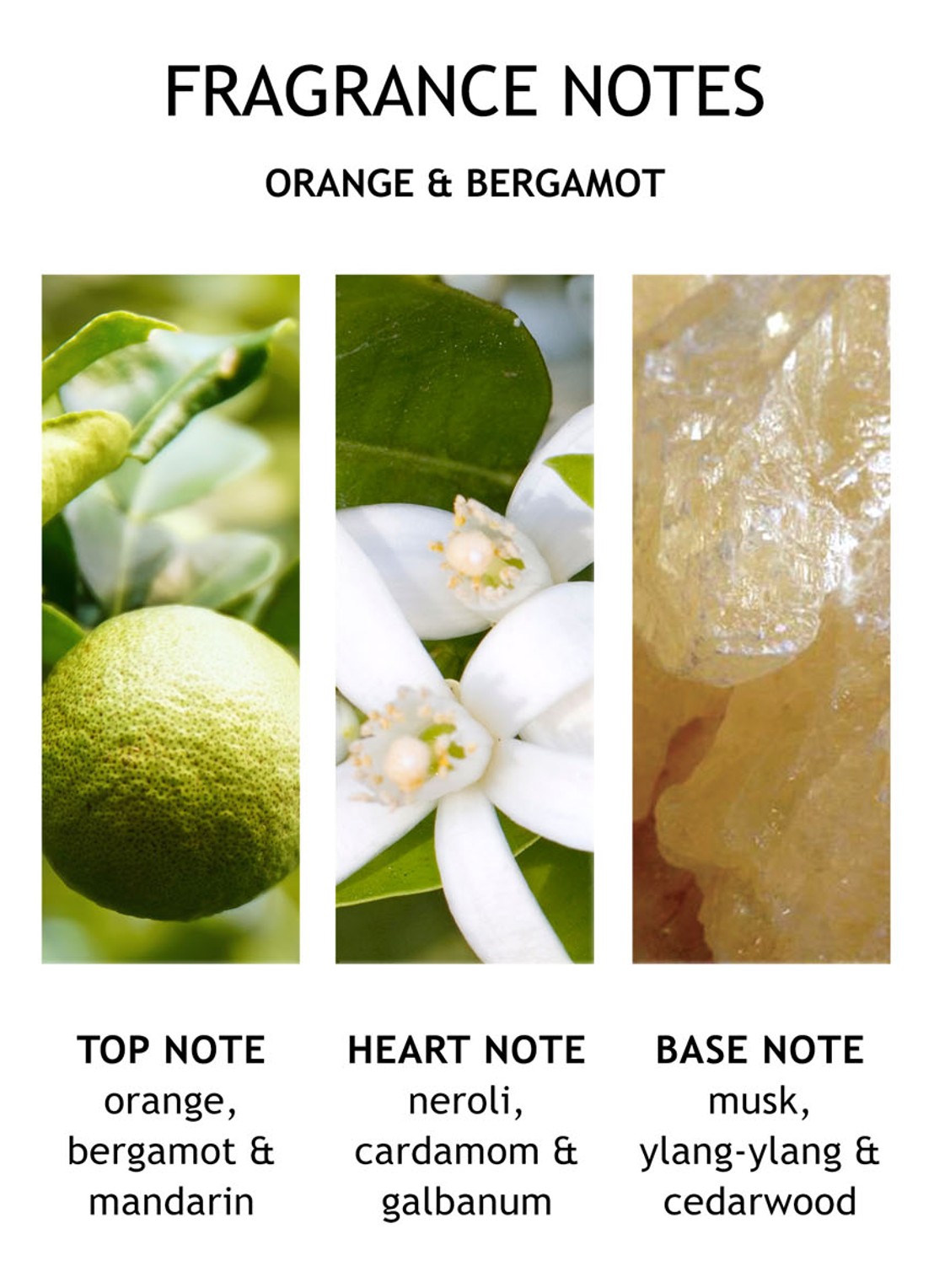 Molton Brown Orange & Bergamot Bath & Showergel - bad- en douchegel - detail 3 undefined
