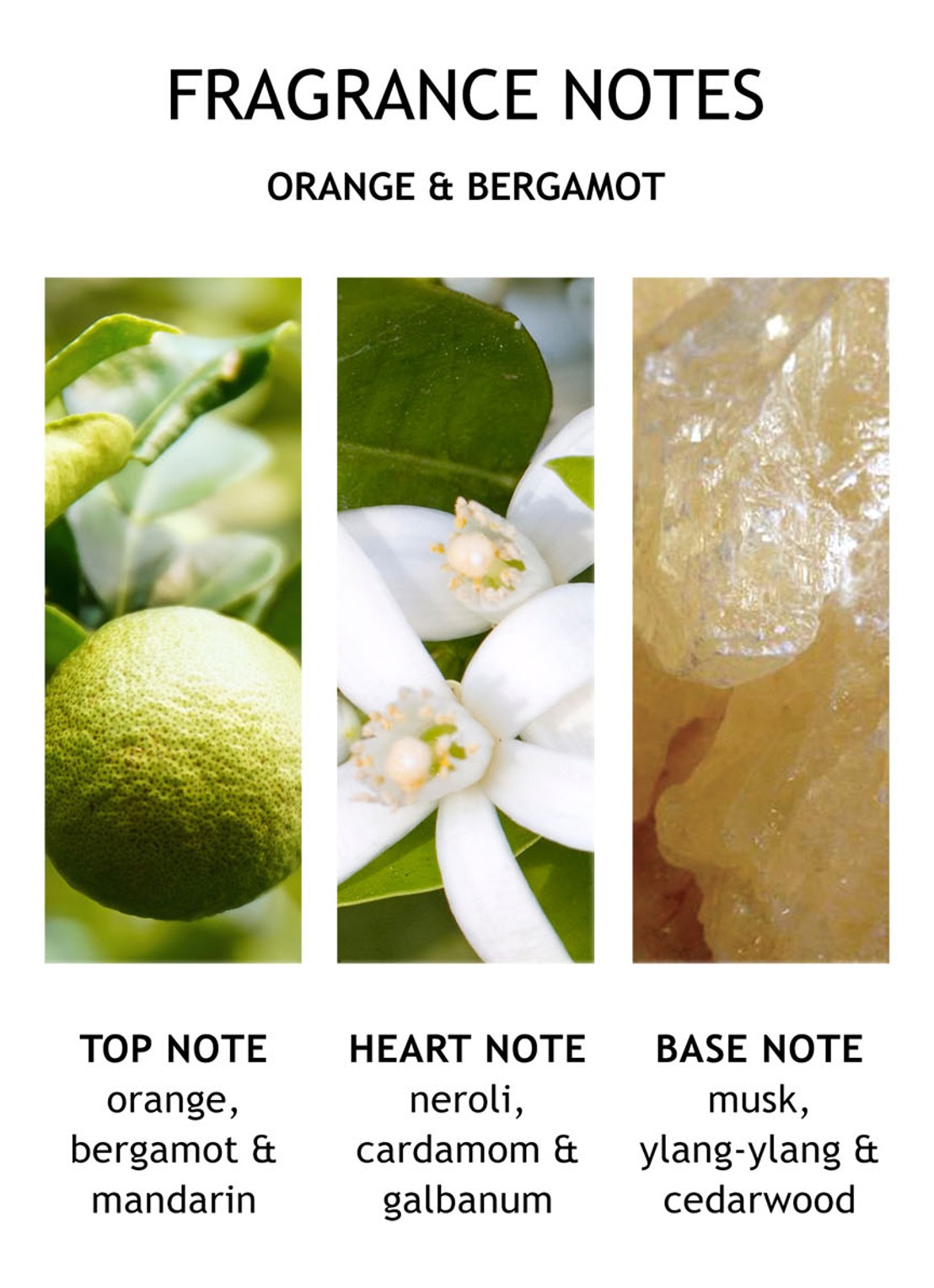 Molton Brown Orange & Bergamot Hand Lotion - handcrème - detail 2 undefined