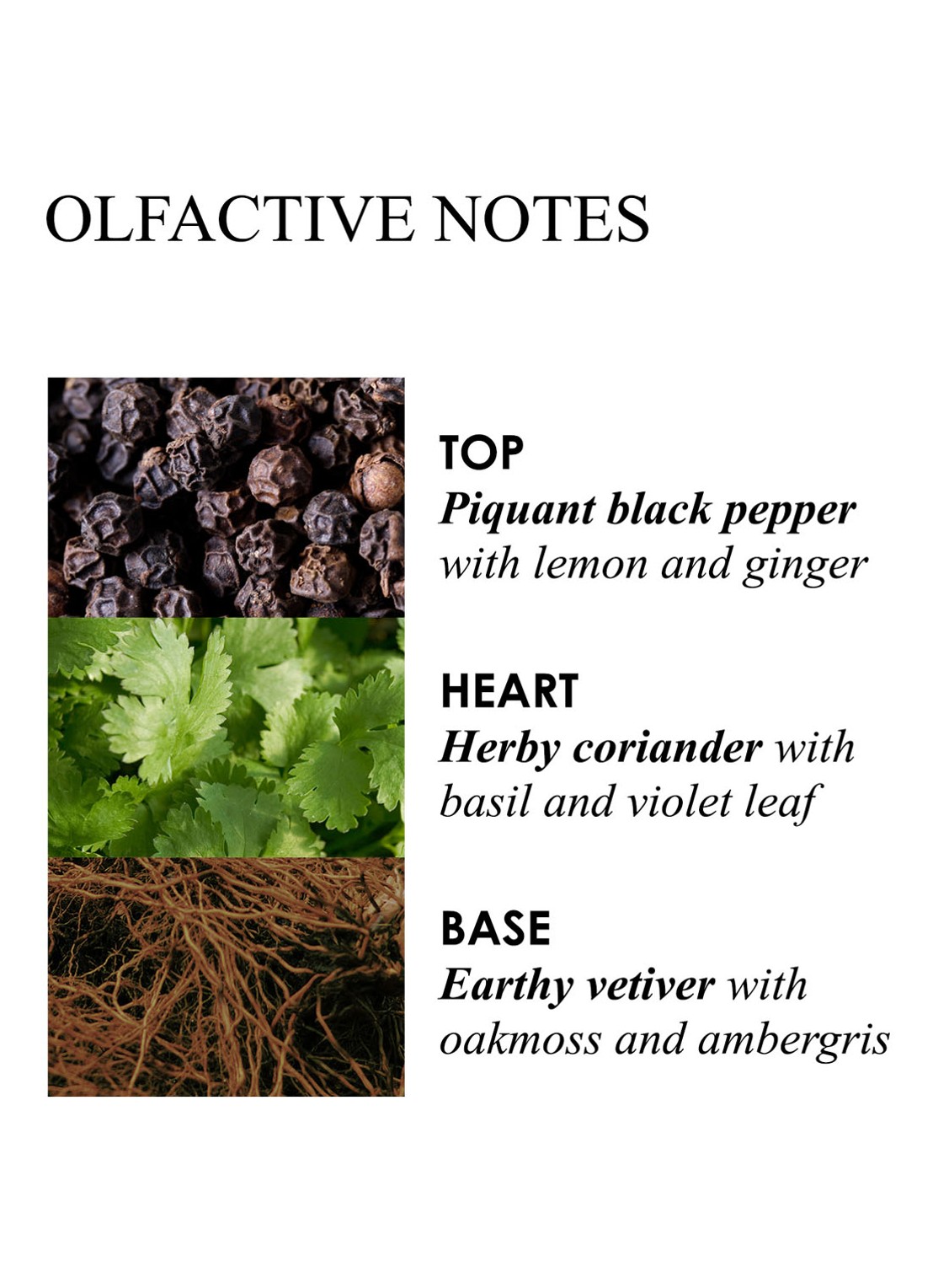 Molton Brown Re-Charge Black Pepper Signature Scented Candle - geurkaars - detail 4 undefined