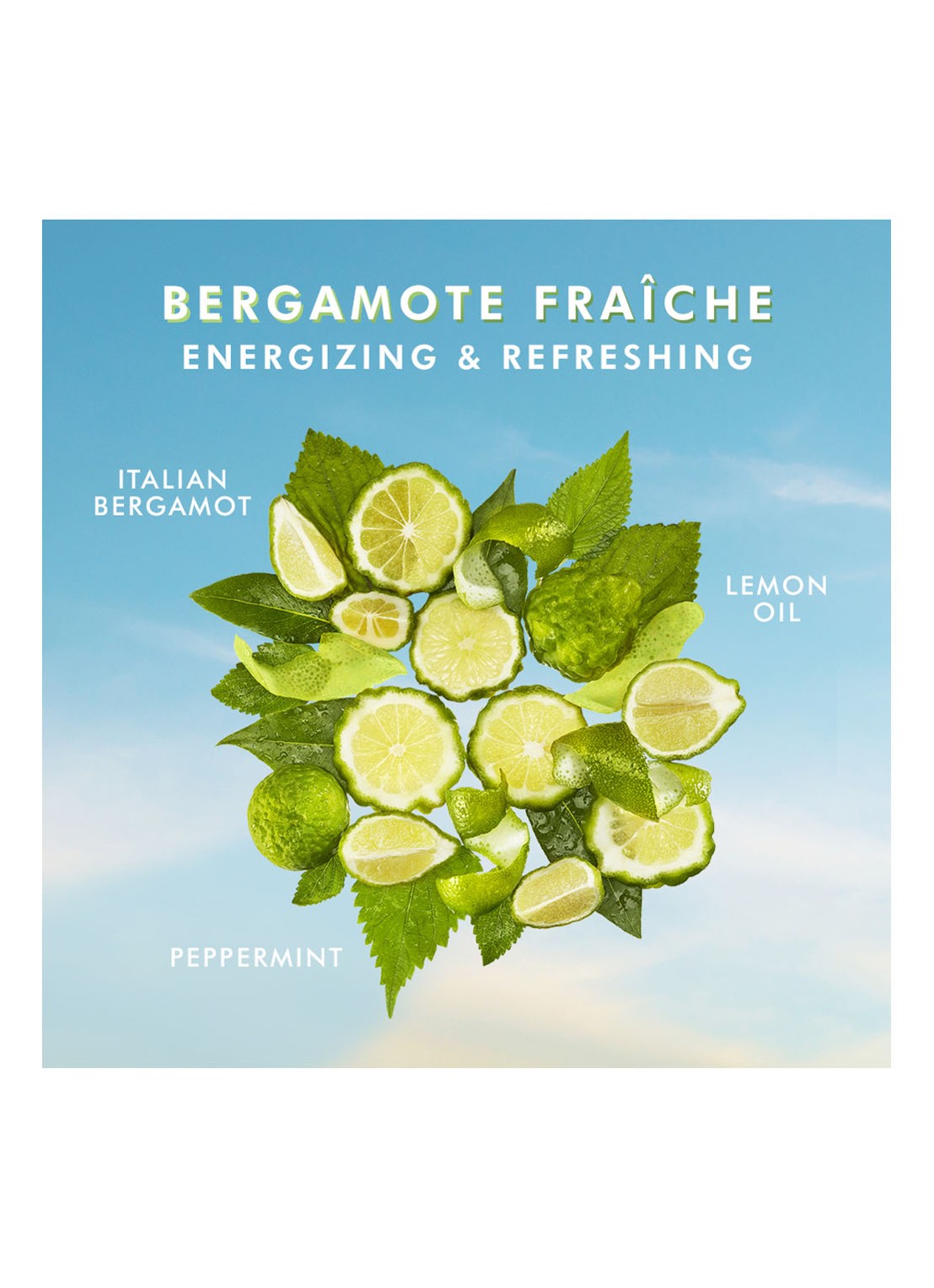 Moroccanoil Shower Gel Bergamot Fraiche - douchegel - detail 6 undefined