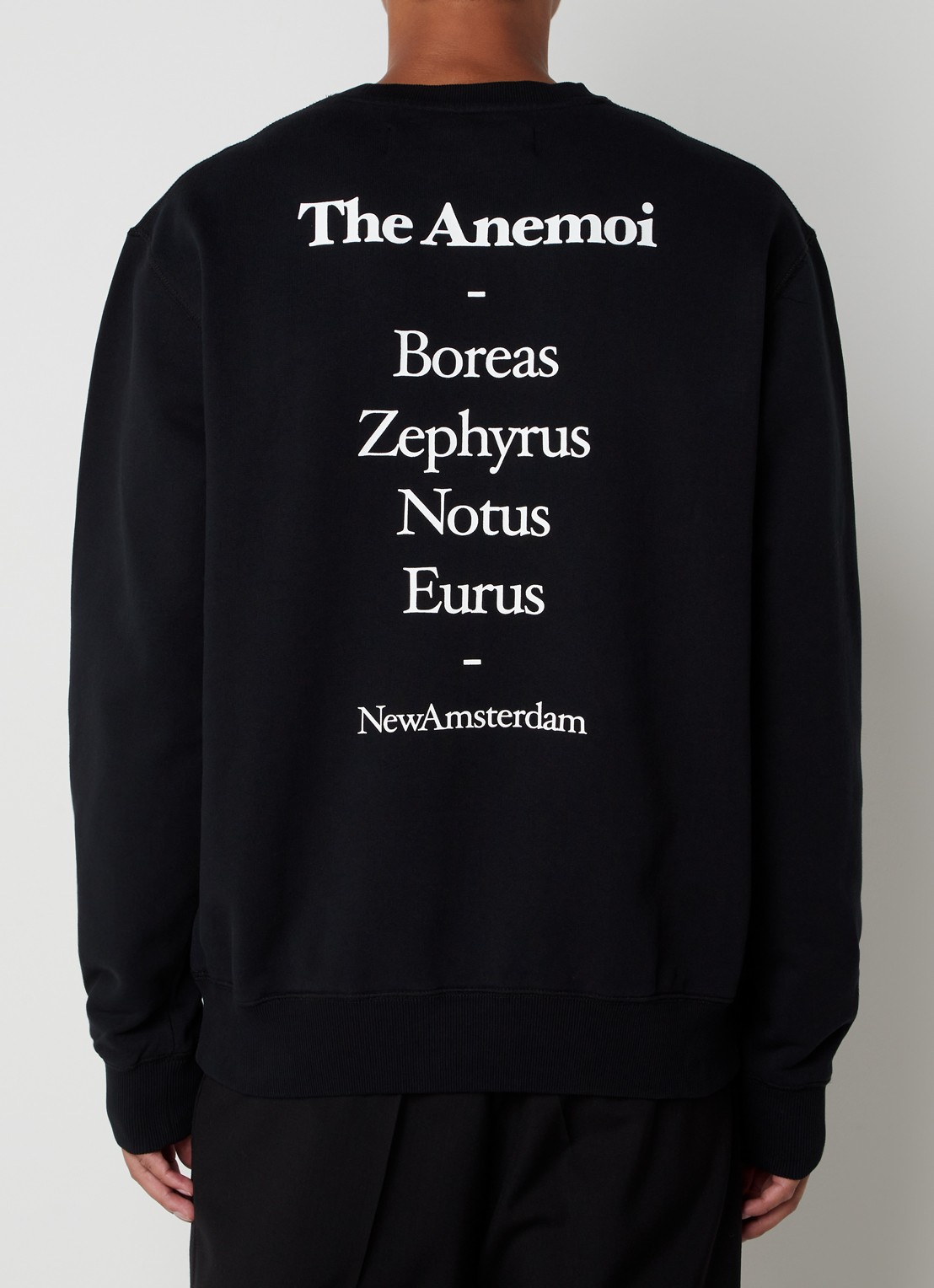 New Amsterdam Surf Association Anemoi sweater met logo- en backprint - achterkant 3 zwart