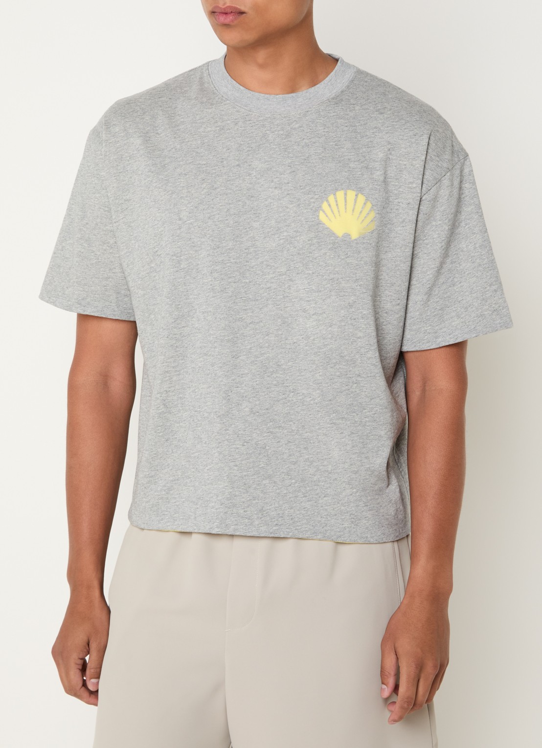 New Amsterdam Surf Association T-shirt met logo- en backprint - achterkant 4 grijsmele