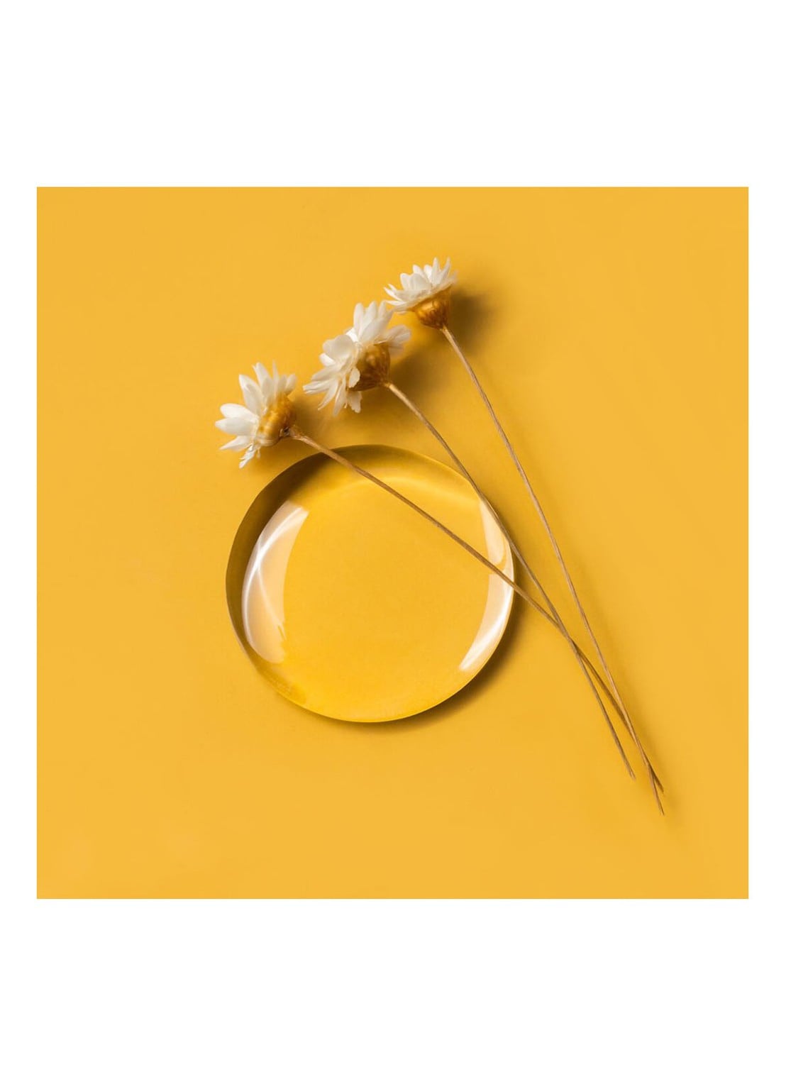 Olaplex No. 7 Bonding Oil - styling olie - detail 8 undefined