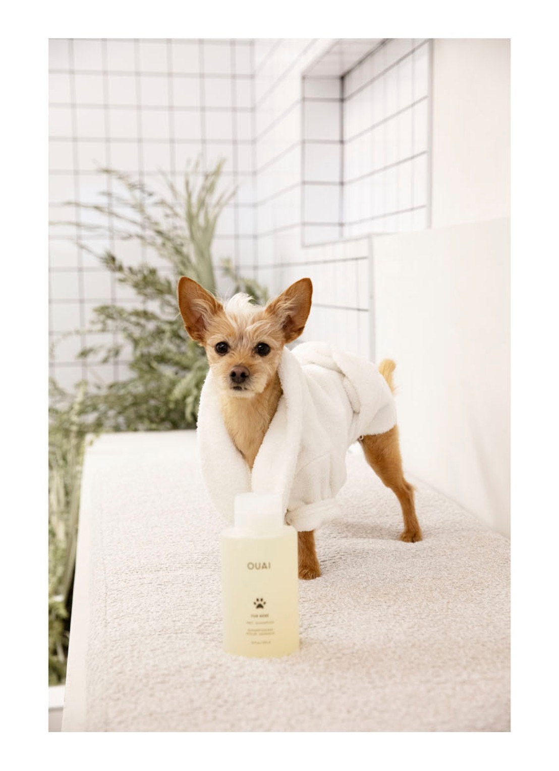 OUAI Fur Bébé Pet Shampoo - huisdieren shampoo - detail 5 undefined