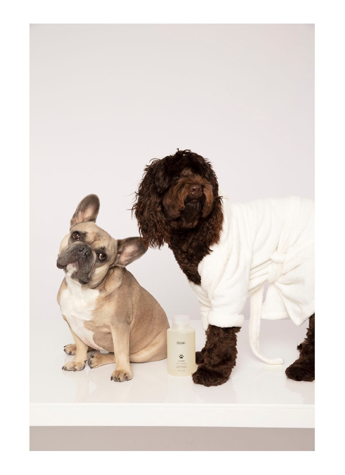 OUAI Fur Bébé Pet Shampoo - huisdieren shampoo - detail 6 undefined