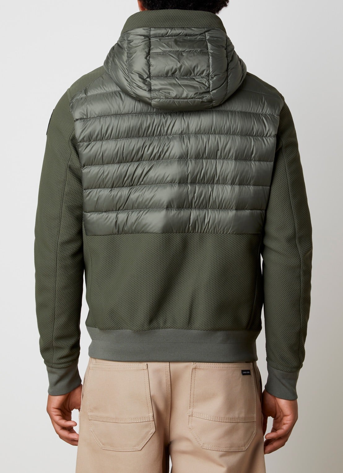 Parajumpers Buck jack met donsvulling en steekzakken - achterkant legergroen