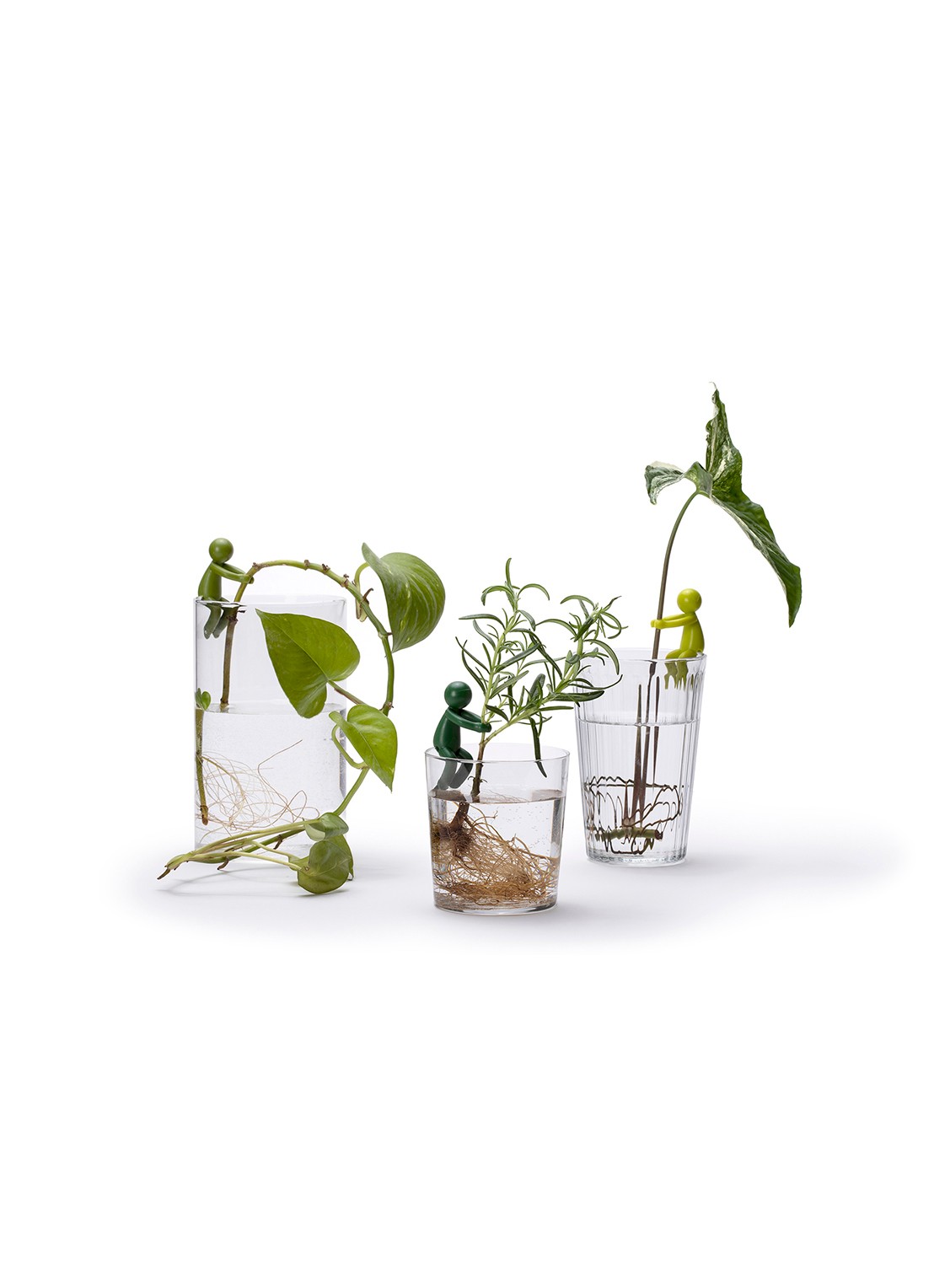 Peleg Design Leafriend stekjeshouder  - achterkant 6 groen