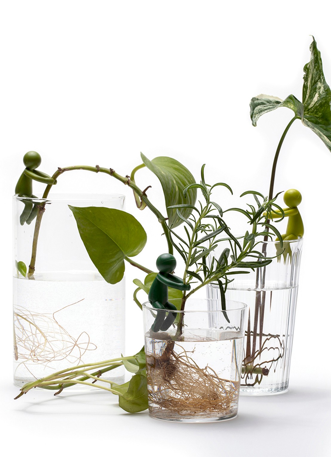 Peleg Design Leafriend stekjeshouder  - detail groen