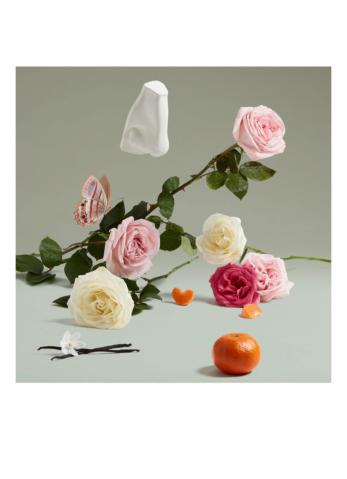 Penhaligon's The Coveted Duchess Rose Eau de Parfum - detail 2 undefined