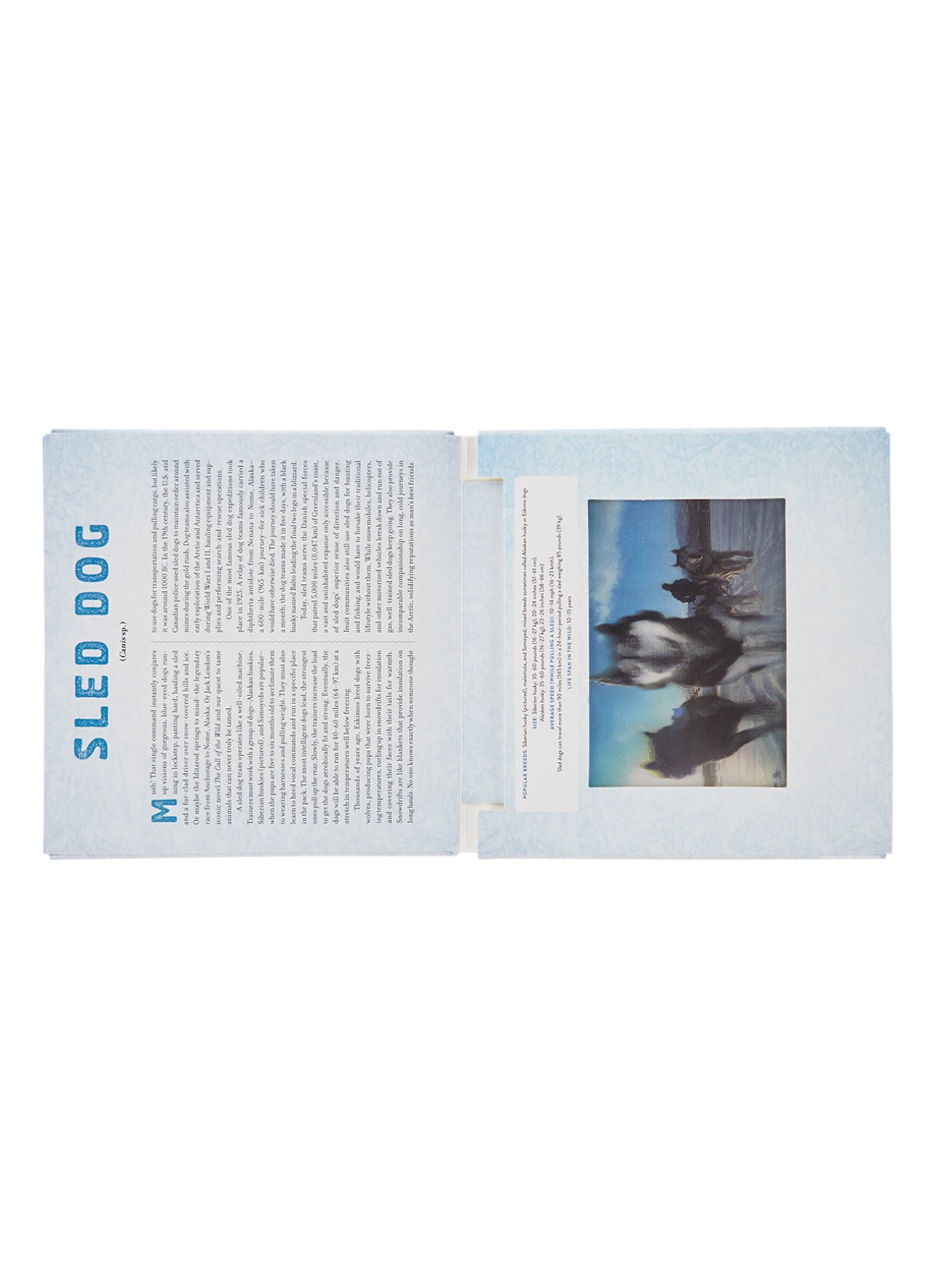 Polar: A Photicular Book - detail undefined