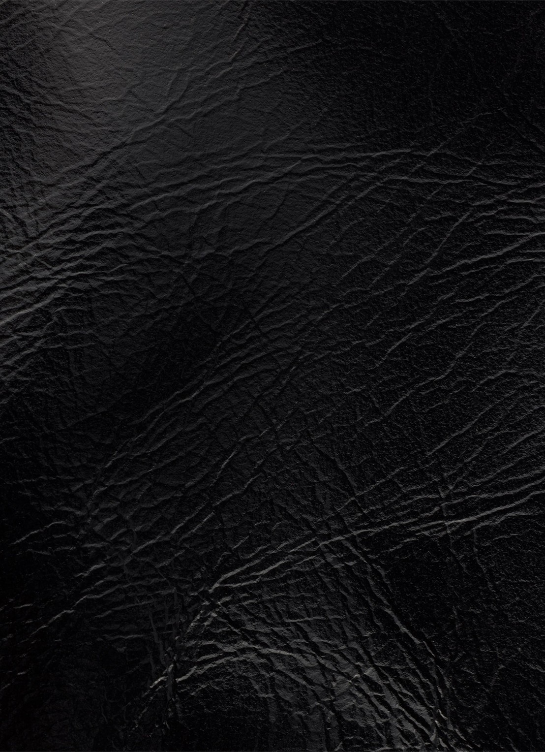 Prada Crossbodytas van kalfsleer - detail 4 zwart